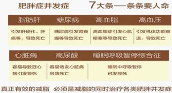 巴比兔減肥餅干價(jià)格與正規(guī)性全面解析